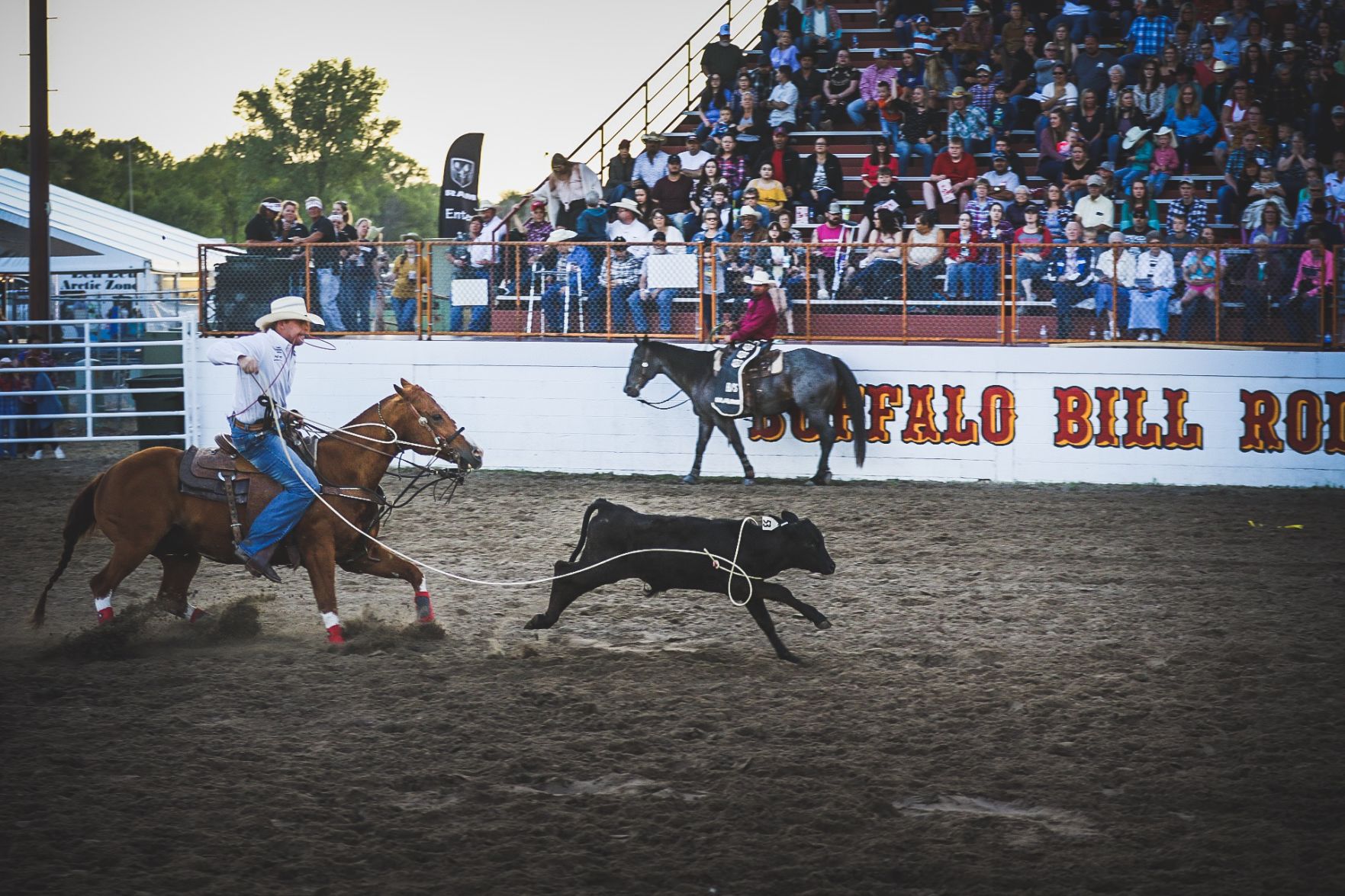 Buffalo Bill Rodeo Night 1 (19).jpg